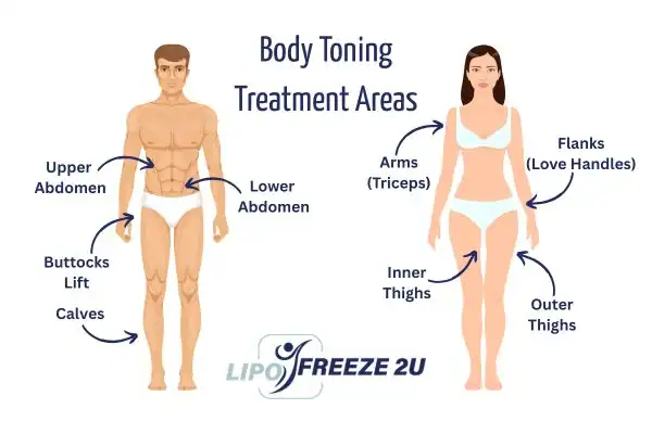 Graphic showing where you can have Body toning Treatment Edmonton on your body